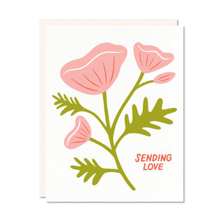 ODD DAUGHTER PAPER CO GREETING CARDS - New Nuevo